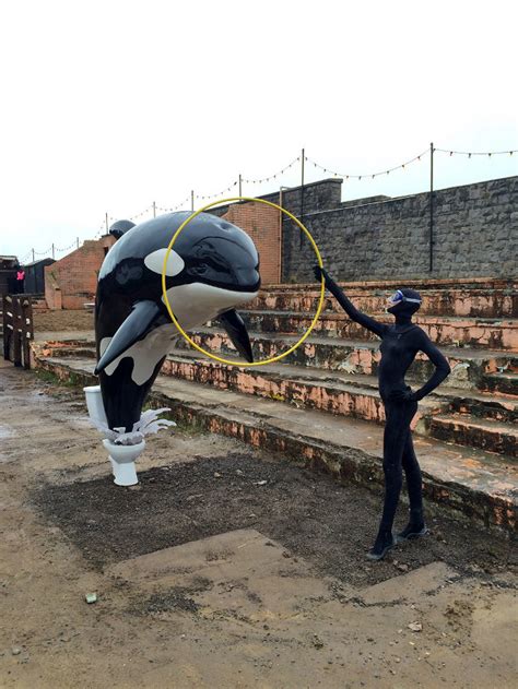 This opens in a new window. Dismaland: een eerste blik op Banksy's nieuwe ...