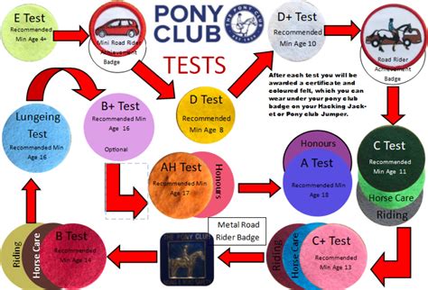 Tests East Essex Hunt Pony Club