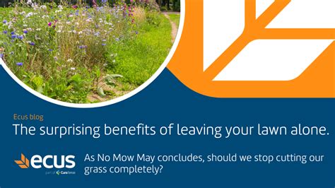 The Surprising Benefits Of Leaving Your Lawn Alone Ecus