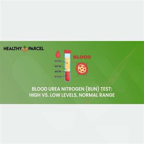 Blood Urea Nitrogen Bun Test High Vs Low Levels Normal Range
