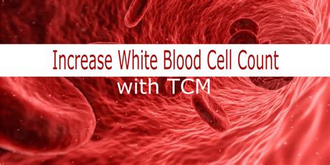 Increase White Blood Cell Count With Tcm 5 Methods Natures Healing
