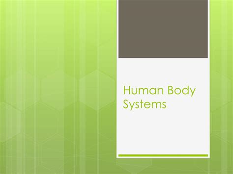 Ppt Human Body Systems Powerpoint Presentation Free Download Id