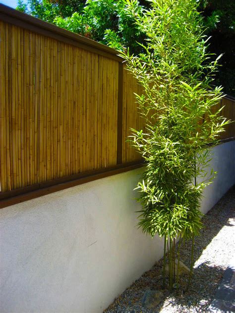 Bamboo fence rolls and privacy fence panels used bamboo parts. Superb bamboo fencing Innovative Designs for Landscape Traditional