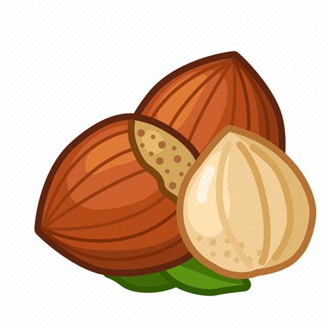 Hazelnuts Nuts Shell Icon Download On Iconfinder