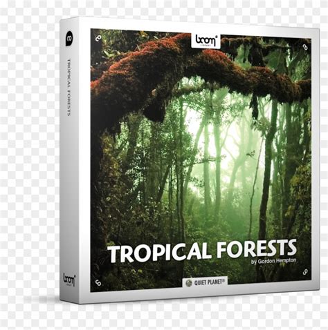 Tropical Forests Nature Ambience Sound Effects Library High