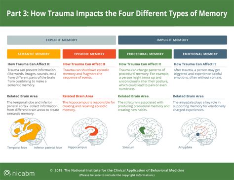 Understanding Traumas Impact On Four Types Of Memory Infographic