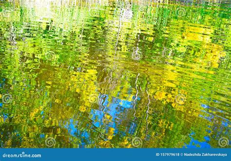 Reflection Of Trees In The Water Stock Photo Image Of Foliage Light