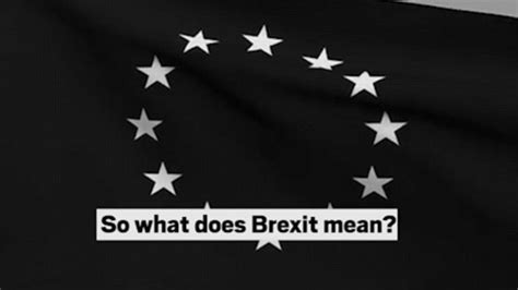 Watch What Does Brexit Mean Metro Video