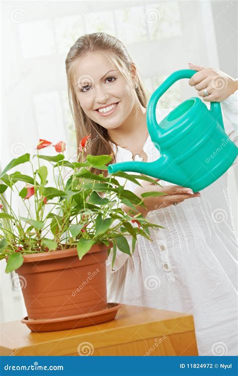 Young Woman Watering Plant Stock Photo Image Of Attractive 11824972