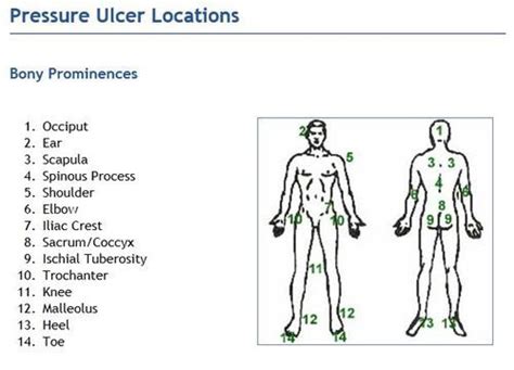 Pressure Ulcer Body Map