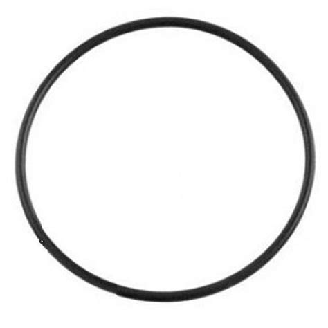 O Ring Gasket For Astral Hurlcon Pool Cantabric Sand Filter Tank Body