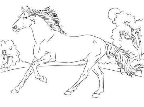 Free printable hard animal pattern coloring pages for kids of all ages. horse coloring pages that you can print | Horse coloring ...