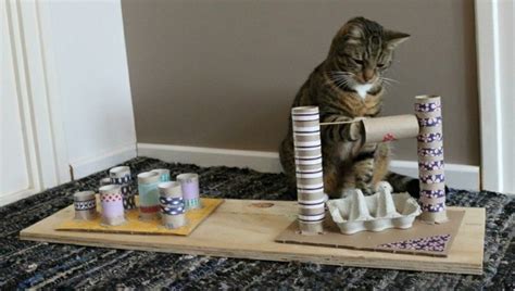 katzenspielzeug selber machen fantastische ideen für katzenliebhaber katzenspielzeug selber