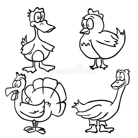 Domestic Birds Duck And Hen Stock Vector Illustration Of