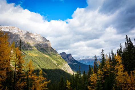 Paradise Valley Banff National Park Stock Photos Pictures And Royalty
