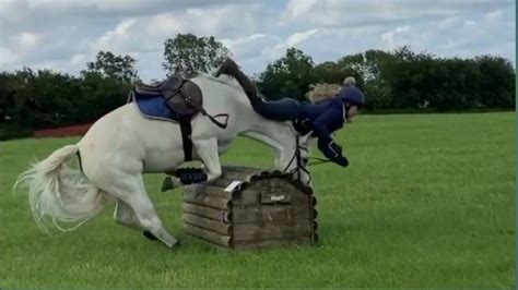 Funny Horse Fails Compilations Youtube