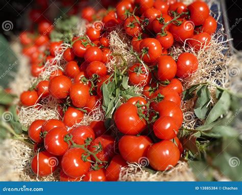 Italian Tomatoes Stock Photo Image Of Tasty Fresh Dieting 13885384