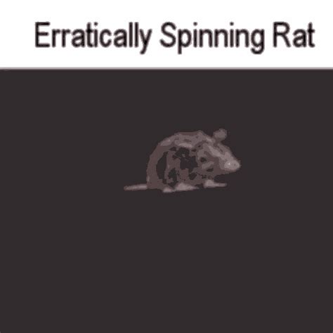 Erratically Spinning Rat Erratic  Erratically Spinning Rat Erratic