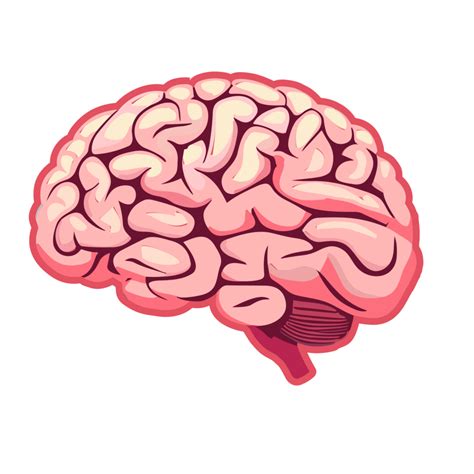 Humano Cerebro Icono Aislado Transparente Fondo Ai Generativo