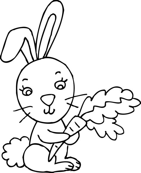 Outline Rabbits Drawing Png