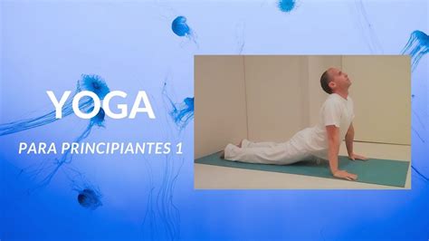 Yoga Para Principiantes Dia 1 Todo El Cuerpo Youtube