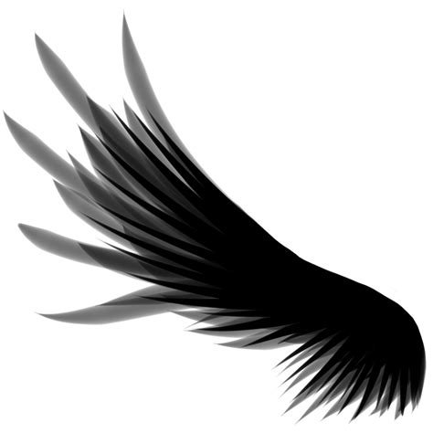 Black Wings Png Png All Png All