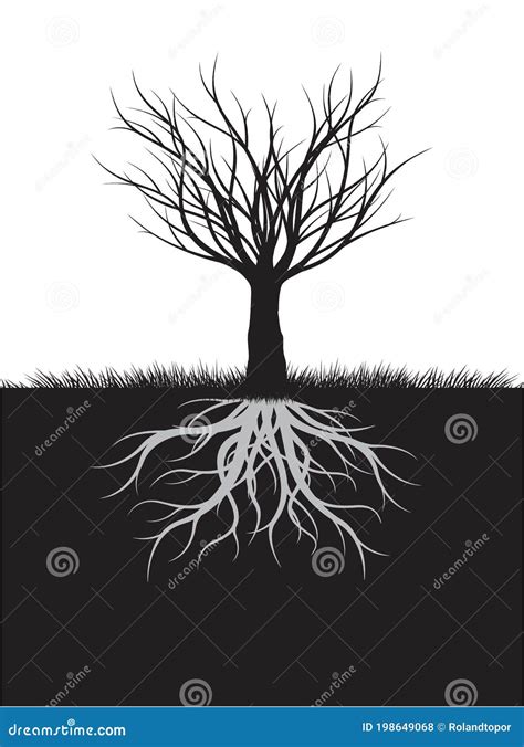 Shape Of Naked Tree And Roots Vector Outline Illustration Stock Vector