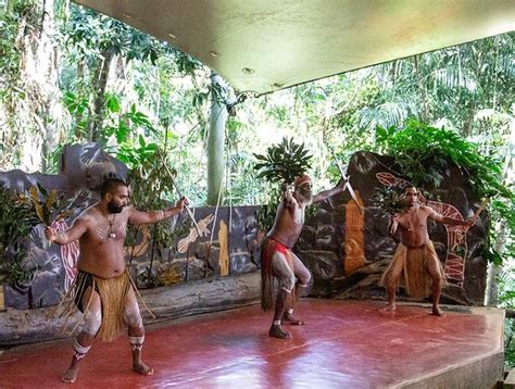 an insight into traditional aboriginal dances from around north tropical queensland performed in
