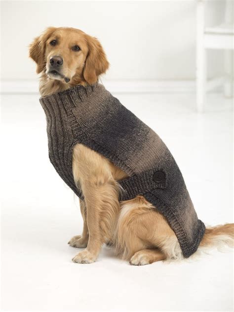 How To Knit A Dog Coat For Beginners Goknitiinyourhat