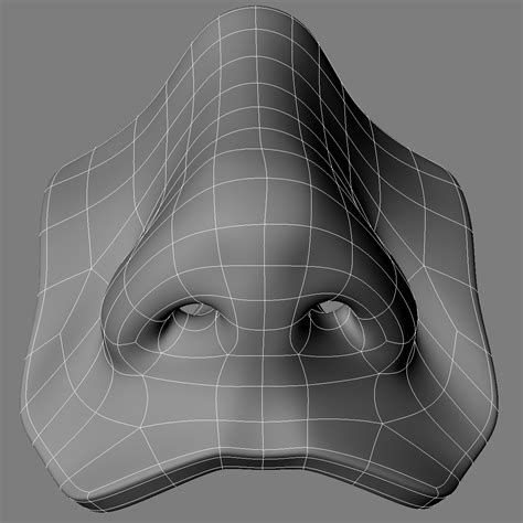 3d Model Realistic Human Nose