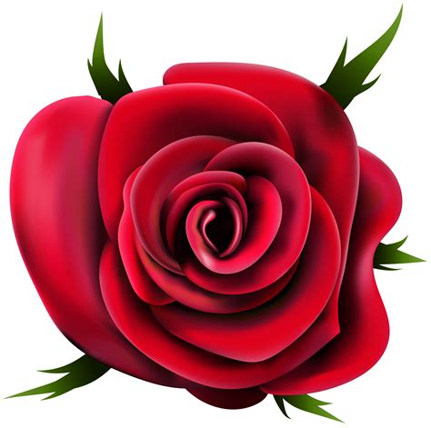 Find the perfect bouquet of roses stock photos and editorial news pictures from getty images. Rose family clipart 20 free Cliparts | Download images on ...