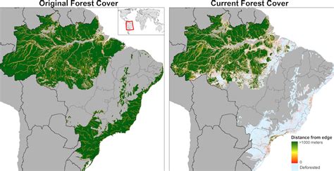 Quais Estados Abrigam Os Maiores Fragmentos Ou Remanescentes Dessa Floresta