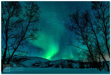 Northern Lights - Lofoten | SvdW Nature