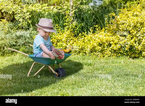 Cute Baby Boy Wearing Hat Is Sitting On Green Wheelbarrow In The Garden