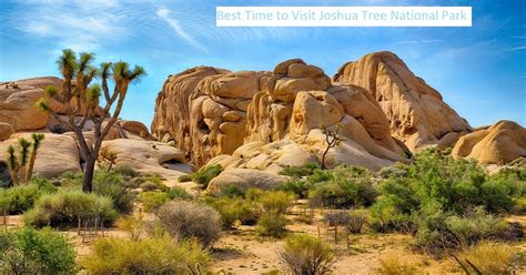 Best Time To Visit Joshua Tree National Park Tour In Planet