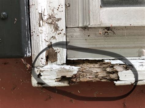 How To Repair A Rotted Exterior Window Sill