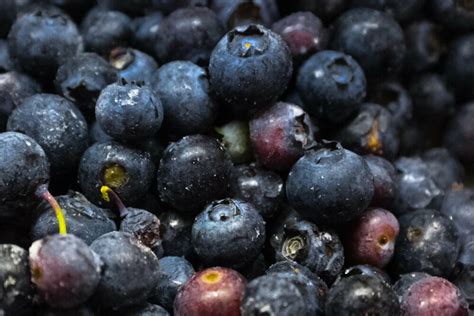 Place them in a colander and run. Is There Such a Thing as Too Many Blueberries? - Gastro ...