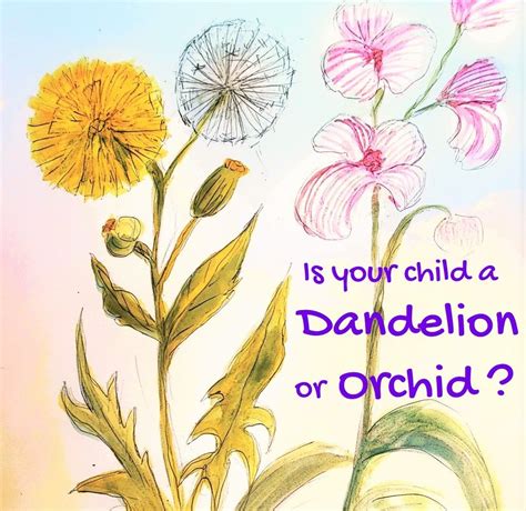 Is Your Child A Dandelion Or Orchid Orchids What Is Life About