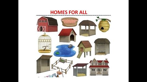 Animals And Their Homes Animal Shelter For Kidshomes For Allanimal