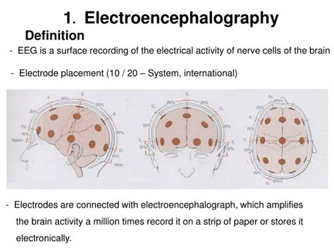Ppt 1 Electroencephalography Definition Powerpoint Presentation
