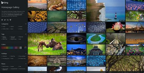 48 Bing Screensavers And Wallpaper Dogs Wallpapersafari