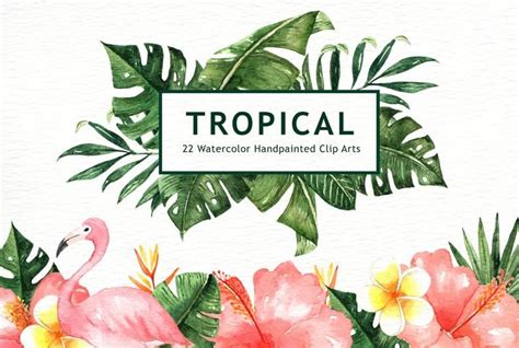 Tropical Leaves Watercolor Clipart, watercolor flower, Watercolor Leaf, Leaf clipart ...