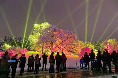 Morton Arboretums Illumination Lights Up December Chicago Magazine