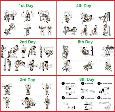 The Perfect 6 Day Beginner S Bodybuilding Program Bodydulding