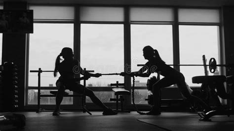 The Silhouette Of The Attractive Woman Poses And Shows Muscles In A Gym Stock Footage Video Of