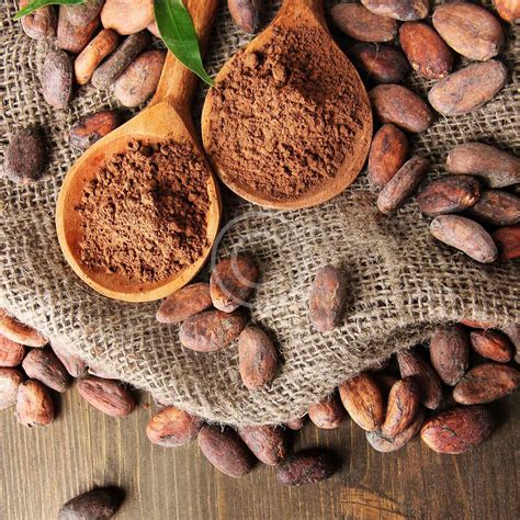 Roasting Cacao Beans A Flair For Fudge