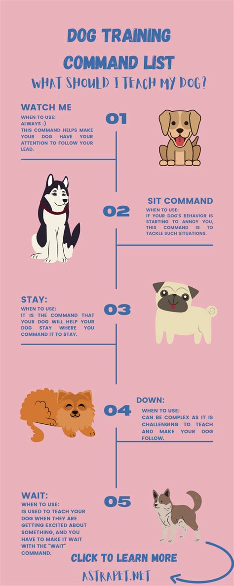 Dog Training Command List In 2021 Dog Training Dog Infographic Dog