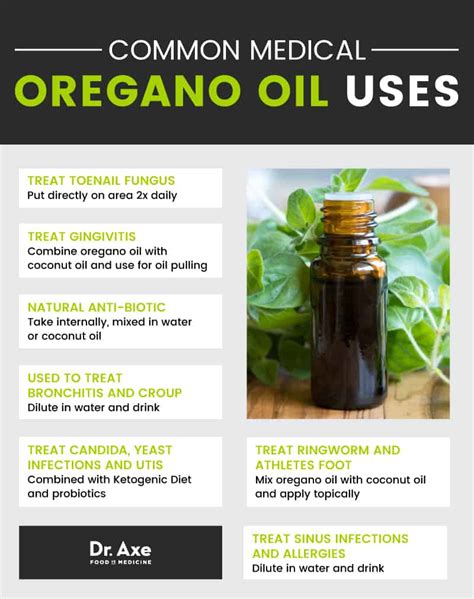 Oregano Oil Benefits For Infections Fungus And More Dr Axe