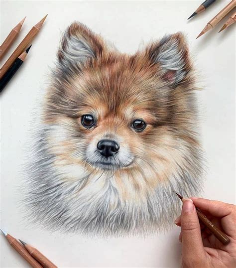 Colored Pencil Drawing Art Gallery On Instagram How Is It 💗 Rate