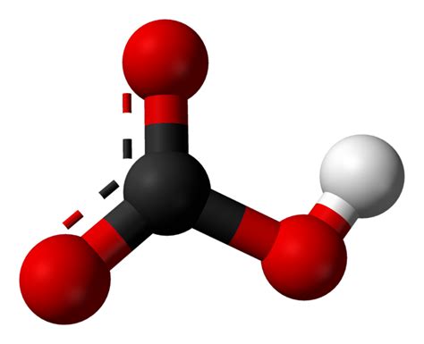 The Mystery Of The Bicarb Ion Bicarbonate